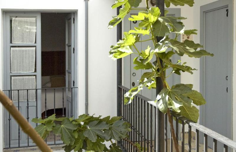Отель La Botica De Vejer Вьер де ла Фронтера Экстерьер фото